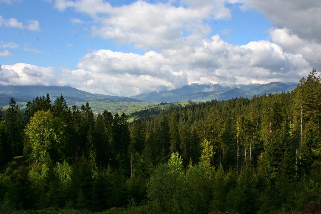Hoch Land * Яблоница